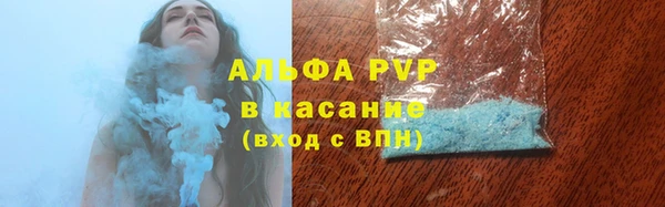 шишки Богородск