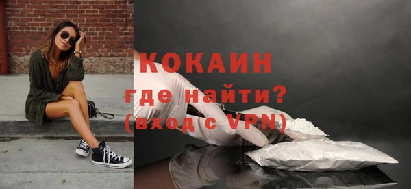 шишки Богородск