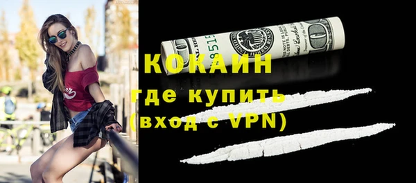 шишки Богородск