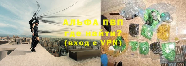 шишки Богородск