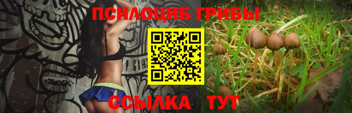 Псилоцибиновые грибы мухоморы Видное