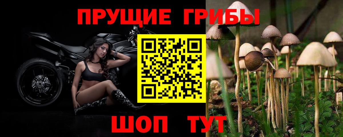 Галлюциногенные грибы Psilocybine cubensis  Вход с VPN  Видное 