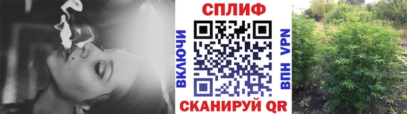 Бошки Шишки планчик  Видное 
